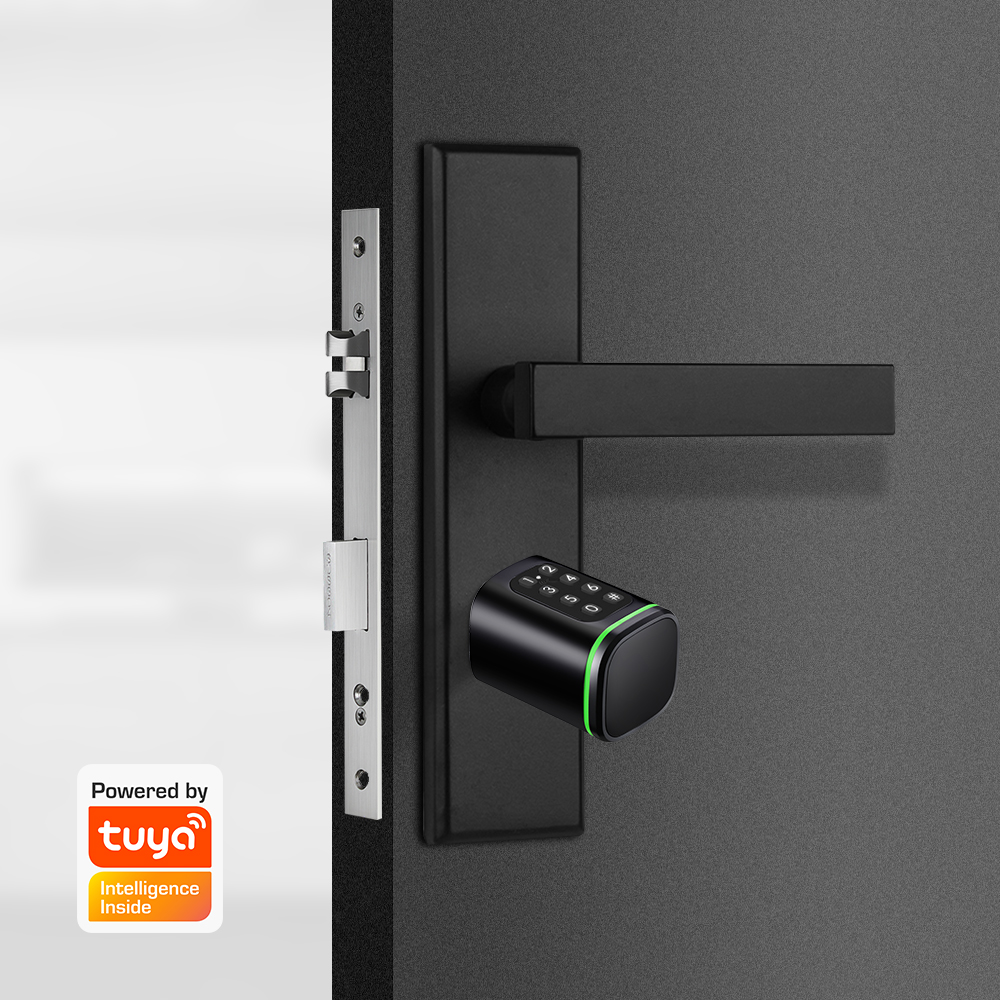 Smart Cylinder Lock Tuya 60-90 - Home Security Deals ulasan dan harga