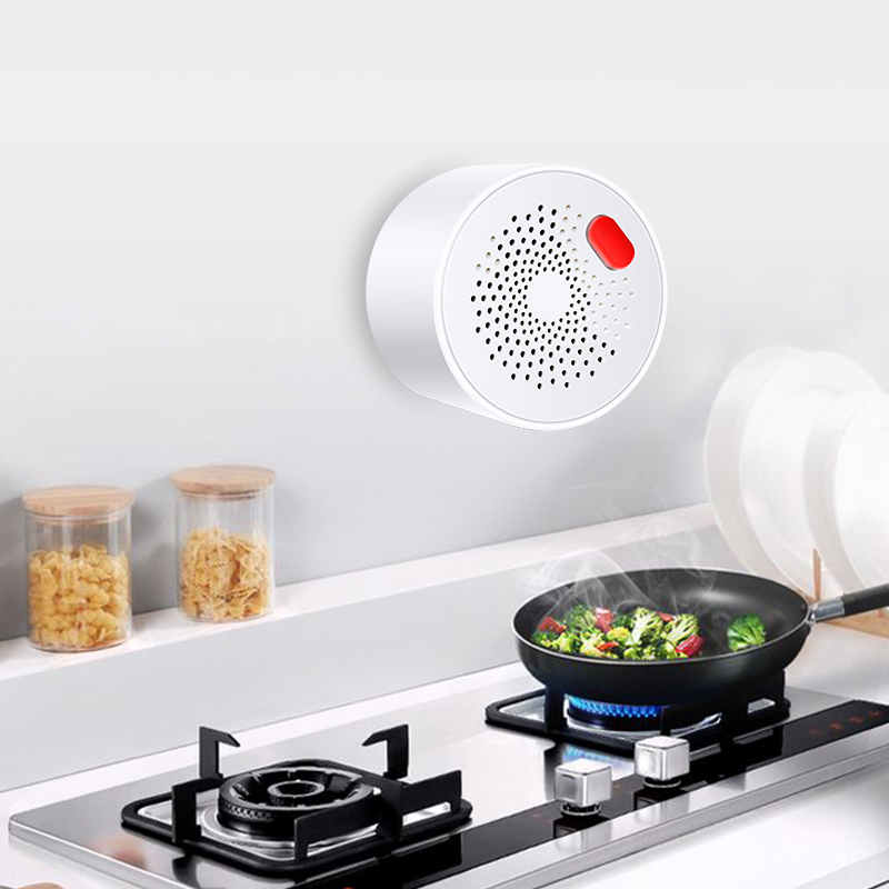 Tuya Smart Home Wifi Natural G - Home Security Business ulasan dan harga